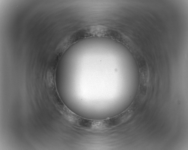 X0000067000705200603241342