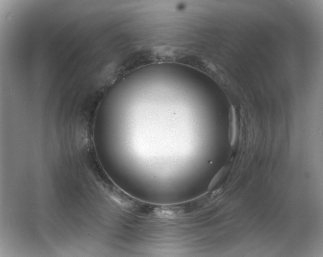 X0000067000706200603241342