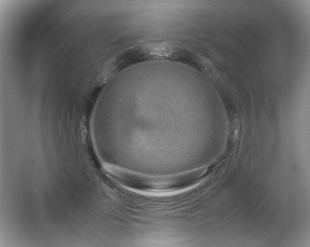 X0000067000707200603241342