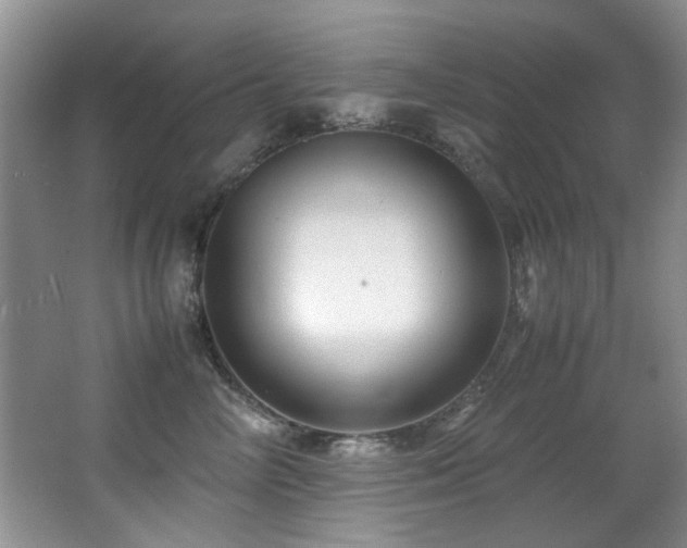 X0000067000714200603241342