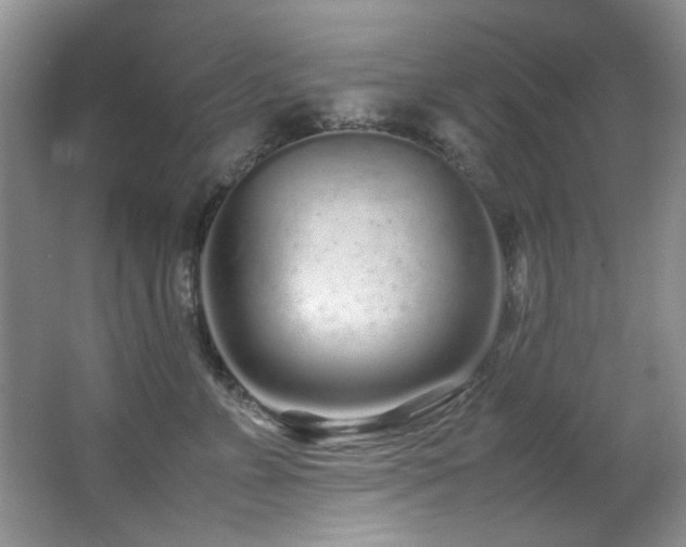 X0000067000715200603241342