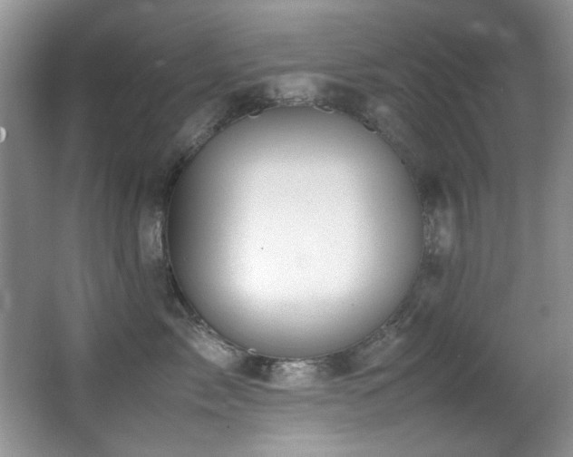 X0000067000717200603241342