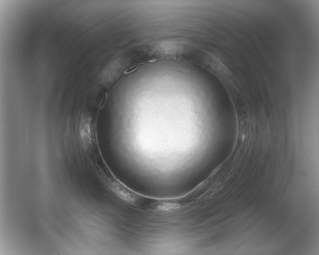 X0000067000718200603241342