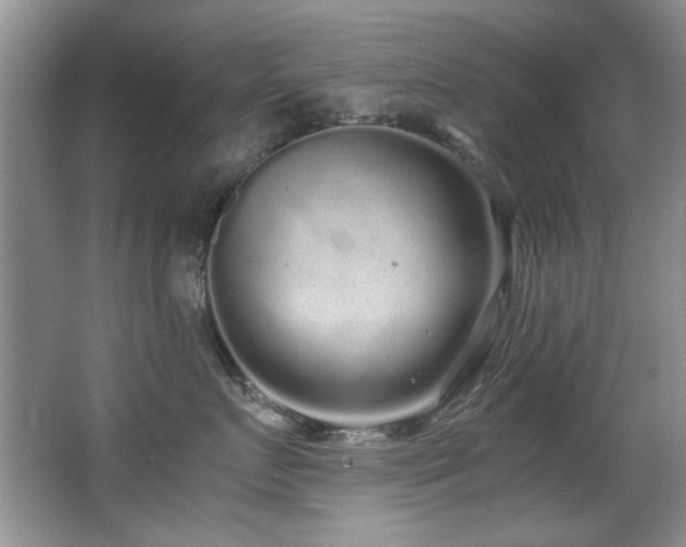 X0000067000719200603241342