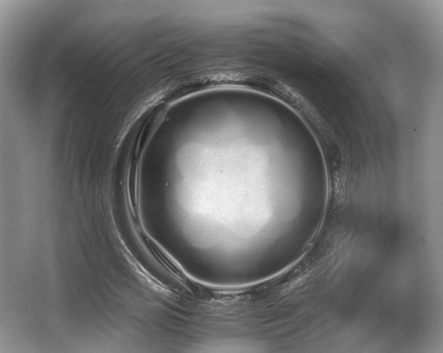 X0000067000725200603241341