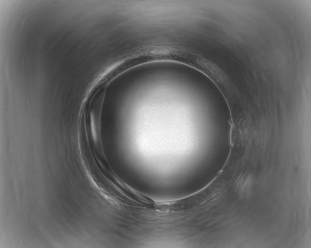 X0000067000728200603241341
