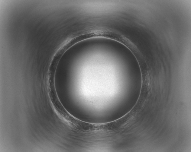 X0000067000730200603241341