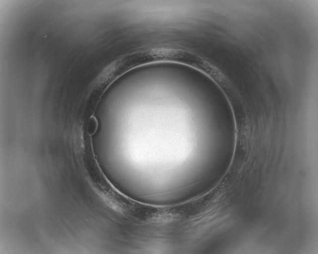 X0000067000734200603241341