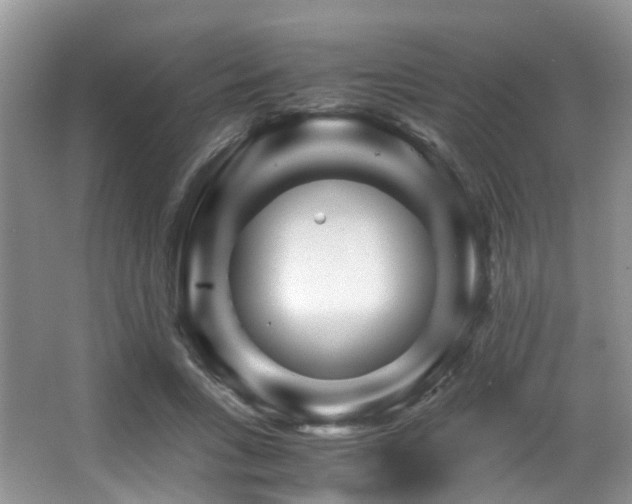 X0000067000735200603241341