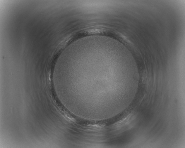 X0000067000737200603241341