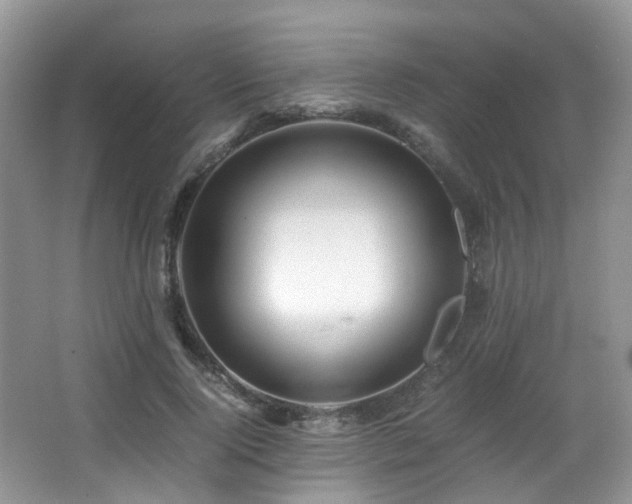 X0000067000740200603241341