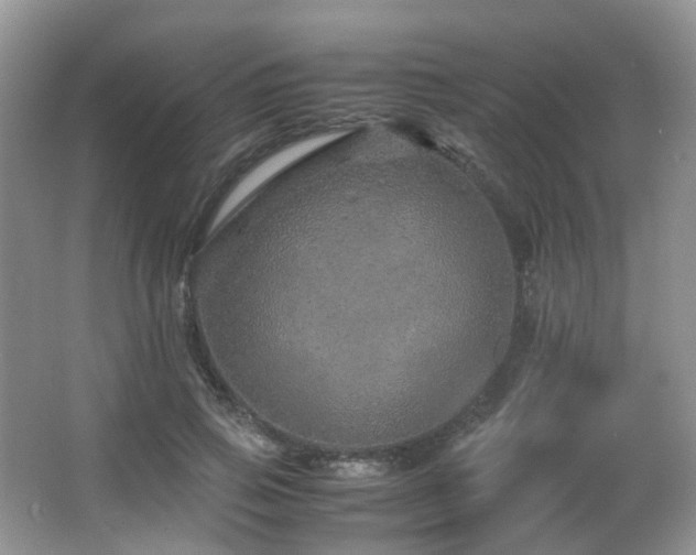X0000067000741200603241341