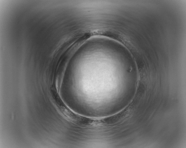 X0000067000742200603241341