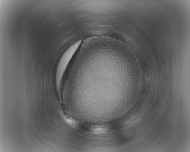 X0000067000745200603241342
