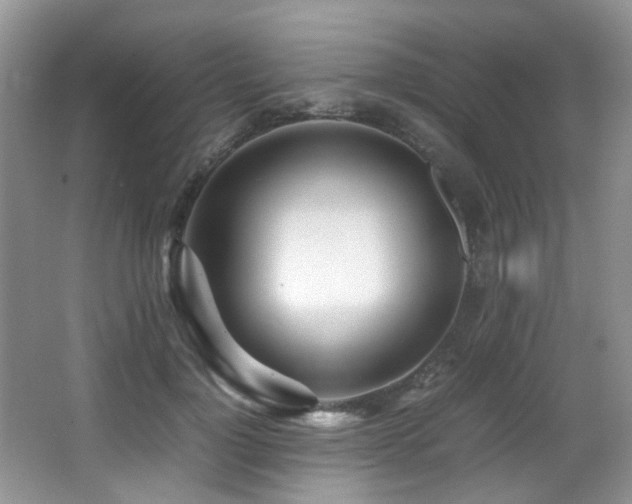 X0000067000748200603241342