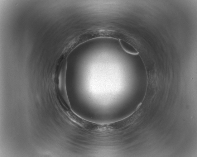 X0000067000752200603241342