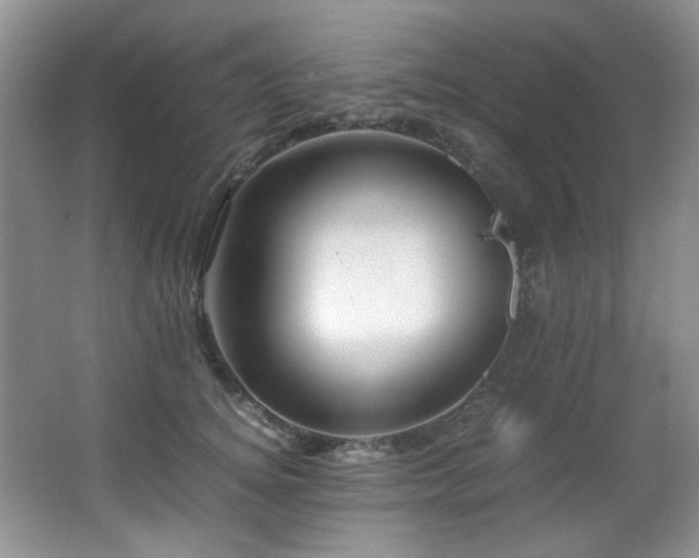 X0000067000756200603241342