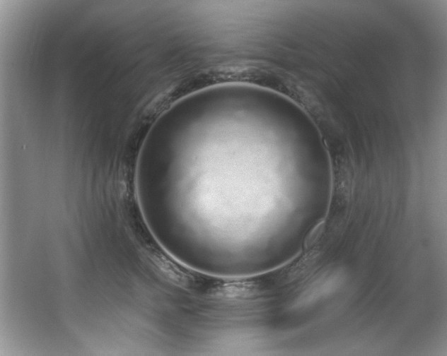X0000067000758200603241342