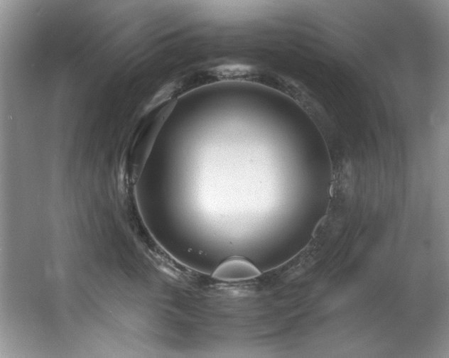X0000067000763200603241342