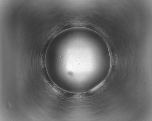 X0000067000764200603241342