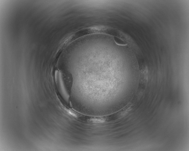 X0000067000765200603241342
