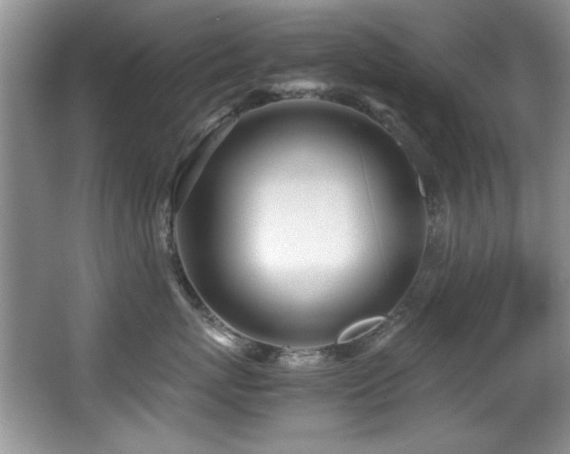 X0000067000767200603241342