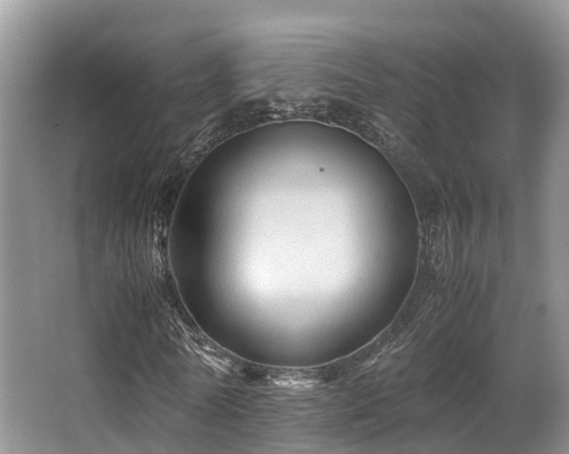 X0000067000770200603241341