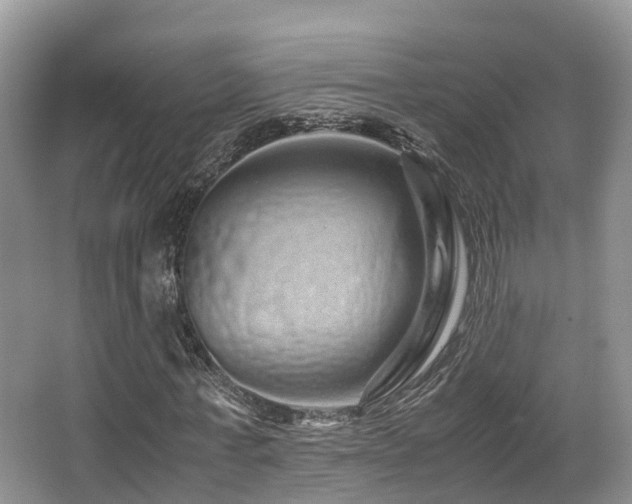 X0000067000771200603241341