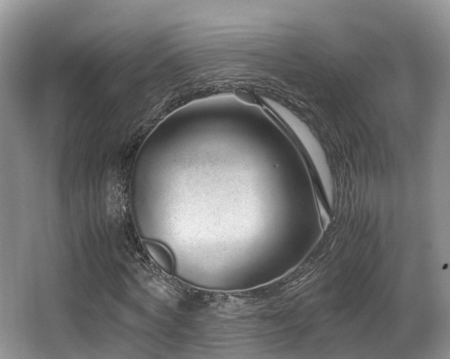 X0000067000772200603241341