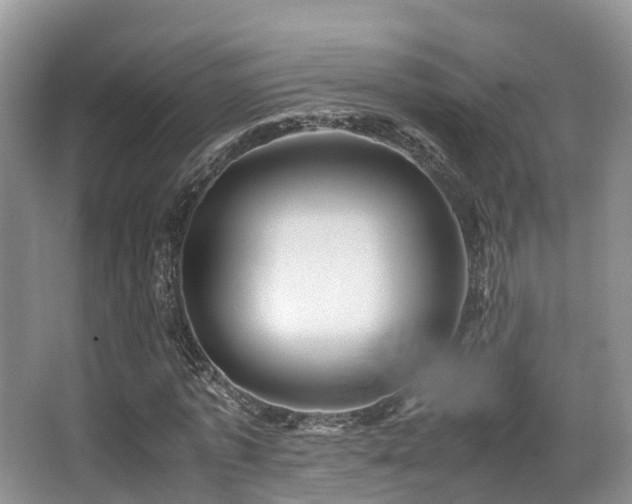 X0000067000773200603241341