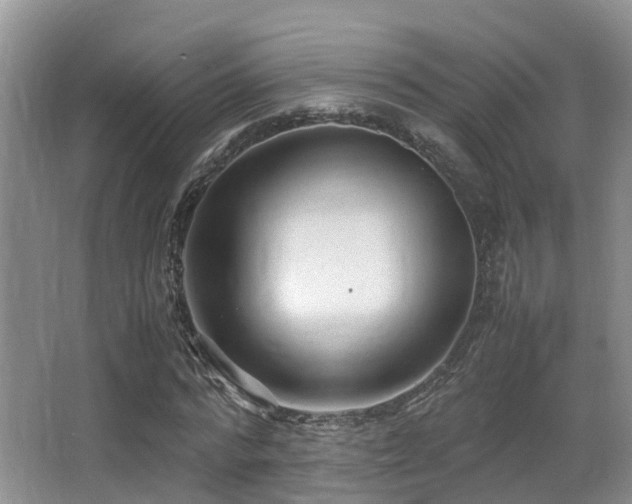 X0000067000776200603241341