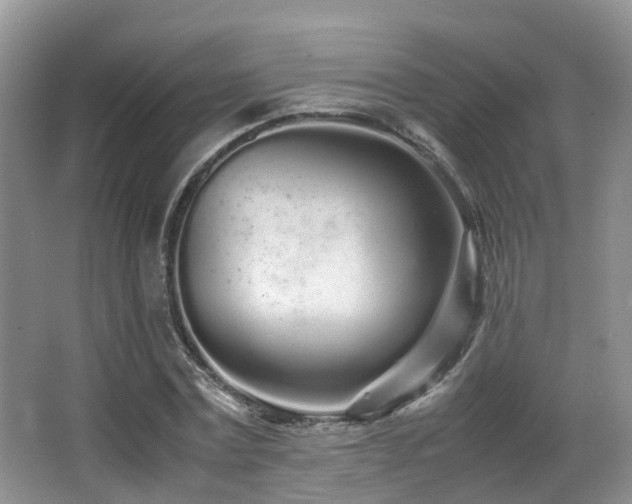 X0000067000779200603241341