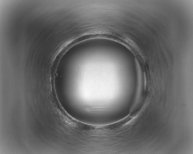 X0000067000781200603241341