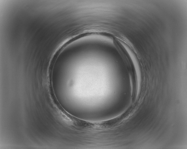 X0000067000787200603241341