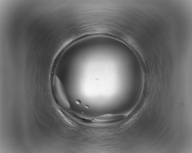 X0000067000789200603241341