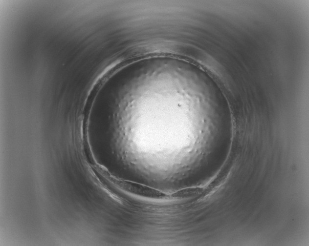 X0000067000790200603241341