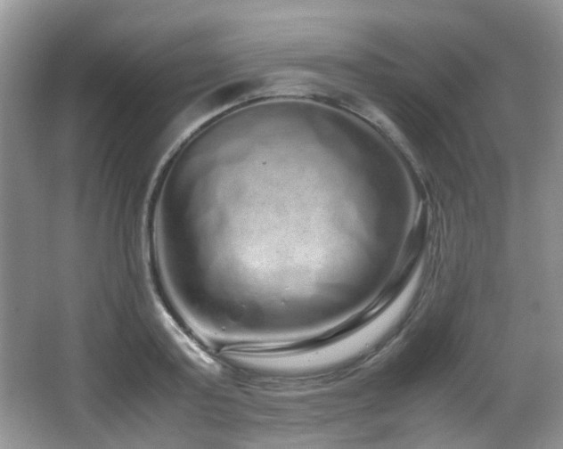X0000067000795200603241341