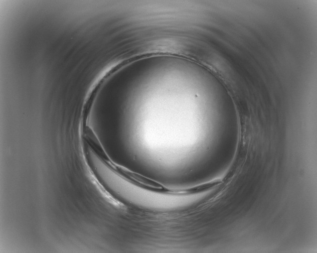 X0000067000796200603241341