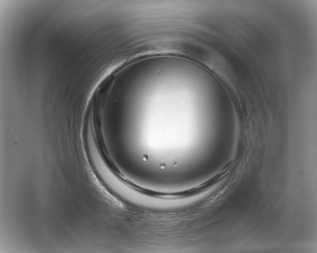 X0000067000797200603241341