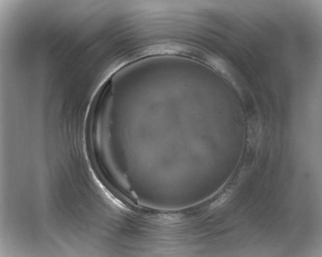 X0000067000802200603241341