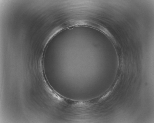 X0000067000806200603241340