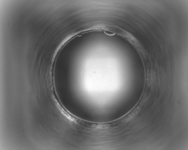 X0000067000808200603241340