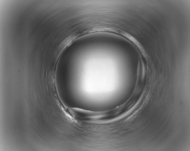 X0000067000809200603241340