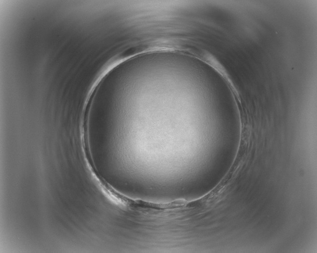 X0000067000811200603241340