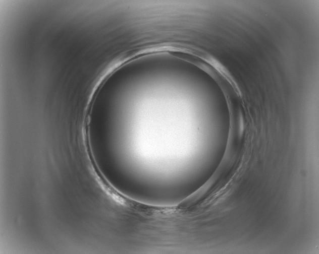 X0000067000813200603241340