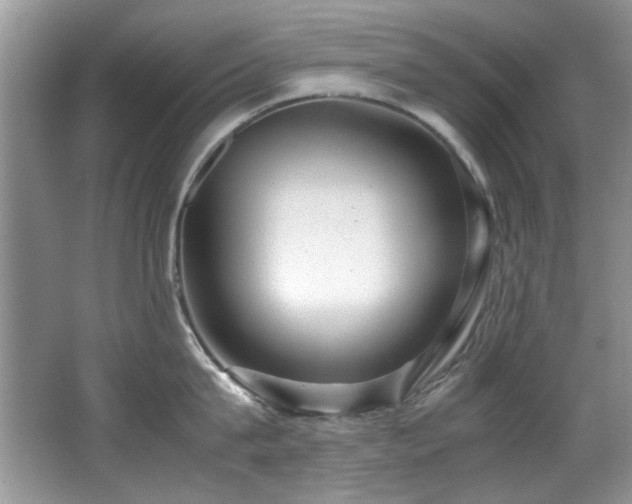 X0000067000815200603241340