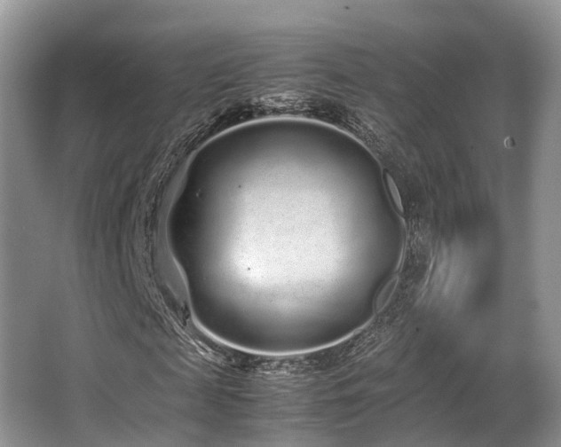 X0000067000817200603241340