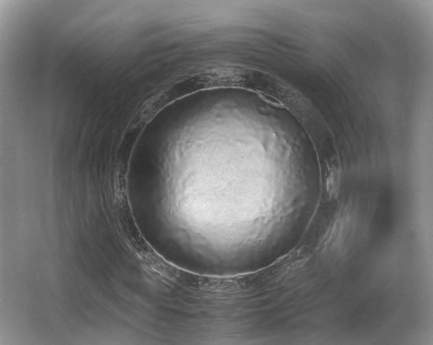 X0000067000819200603241340