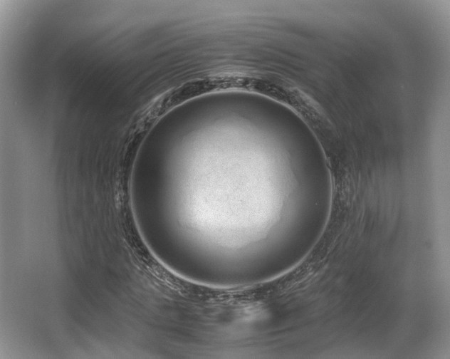 X0000067000821200603241340