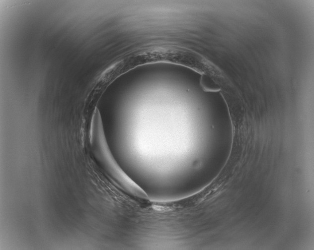 X0000067000822200603241340